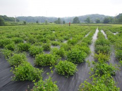 かずさDNA研究所へ遠征