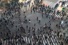 マルチエージェントシステム Multi-Agent System／強化学習 Reinforcement learning