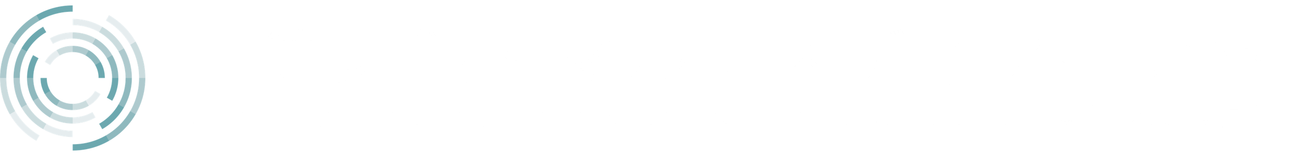 計算知能・マルチメディア研究室